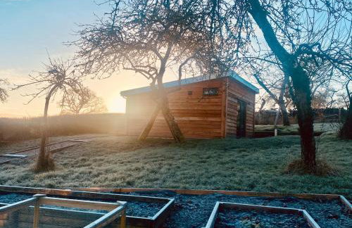 The Apple Shed - cosy cabin nestled in orchard in rural Devon - Foto 16