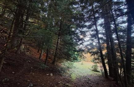 Wood Cabins by the River - for Nature Lovers - Photo 66