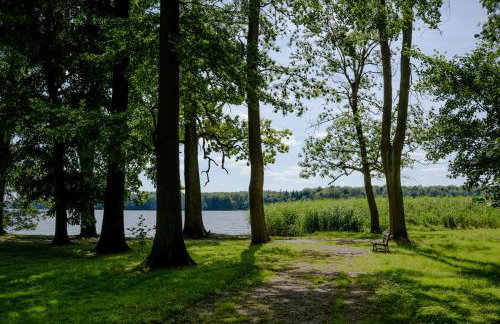 Park Vista - Foto 23