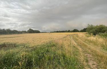 Holly Cottage Cosy Home In Sherwood Forest - Foto 28