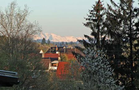 Hibiskus - a83456 - Foto 16