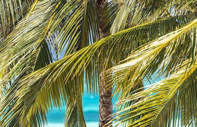 TASNEEM LUXURY APPARTMENT - Photo 55