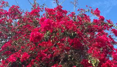 Villa Manuel - Foto 2