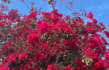 Villa Manuel - Foto 2