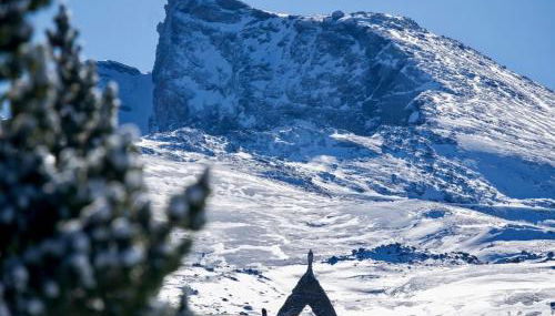 Camino de la Sierra Parking y Mascotas - Foto 3