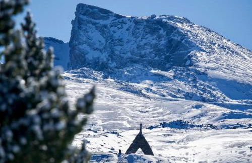 Camino de la Sierra Parking y Mascotas - Foto 3