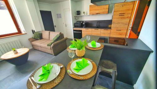 COCOON SPA-4 Pers-Jacuzzi-Parking-Jardin-Clim-Colmar - Foto 5