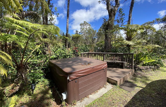 Volcano Rainforest Lodge - Foto 33