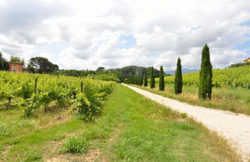 Il Sogno Tra I Vigneti - Foto 24