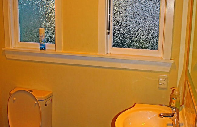 The Green Gecko - Foto 21