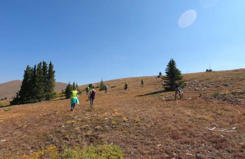 Studio in Lakeside Village, Updated Kitchen & Bath apts - Foto 40