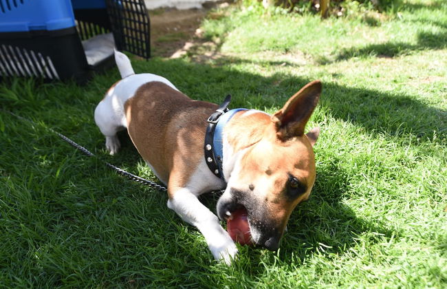 Tasev Apart Hotel - Photo 43