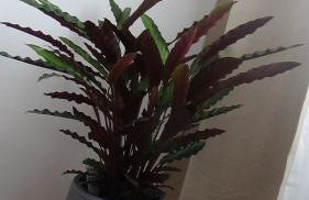 Apartament na Jeziornej - Foto 24