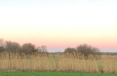 La Cachette d Oona, Grand gîte nature et familles - Foto 24