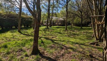 Birkenside Cottage - Foto 2, Garden