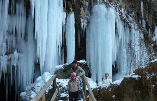 Ferienwohnungen Fricker - Photo 20