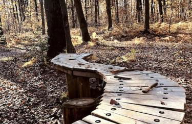 Maison de charme nichée dans le bois pour vivre une expérience unique - Foto 23