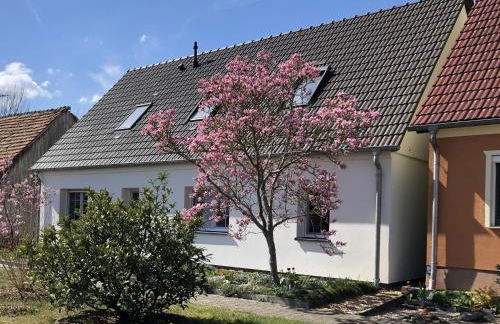 Die Bauernstube im Haus Sonnenaufgang - viel Platz und ebenerdig - Foto 8