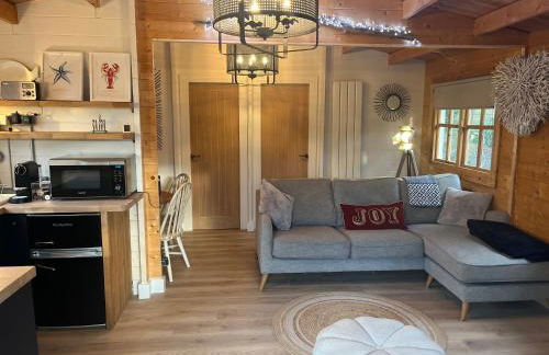 Caban Y Tan Dderwen with private Wood Fired Hot Tub - Foto 7