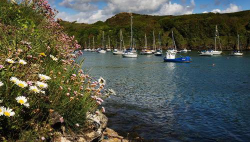 Caleb's Cottage - 4 Bedroom Cottage - Solva - Foto 4