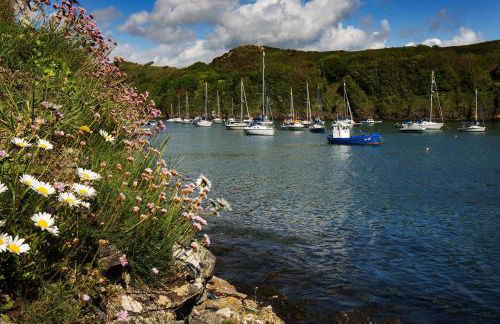 Caleb's Cottage - 4 Bedroom Cottage - Solva - Photo 4