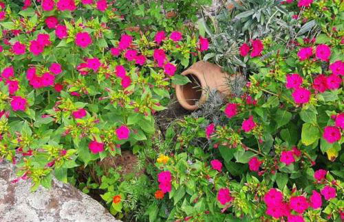 Casa do Hiebra Alojamiento Rural Ribeira Sacra - Foto 48