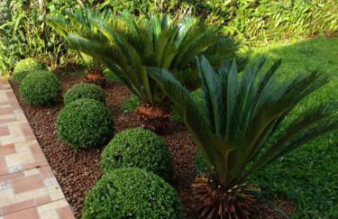 Suítes portal do bosque - Foto 9