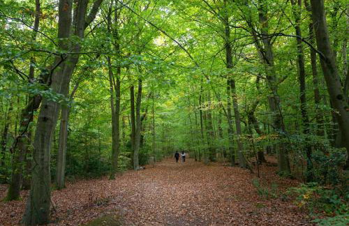 Amos Lodge Deluxe Accommodation - Photo 67