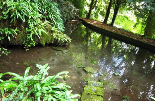 House in France with Pool and Views - Foto 30