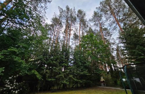 Ferienhaus JULKA am See mit Kamin & WLAN - Domek Letniskowy JULKA - Foto 13