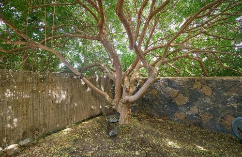 Molino de el Roque - Foto 24