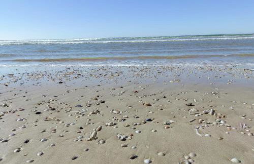 Casinha do Chico - Foto 44