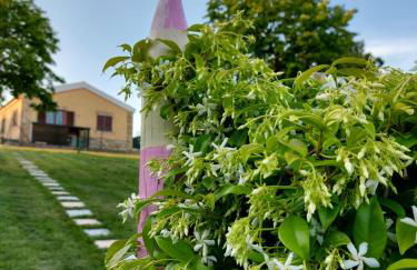 I Colori dell'Infinito - Foto 10