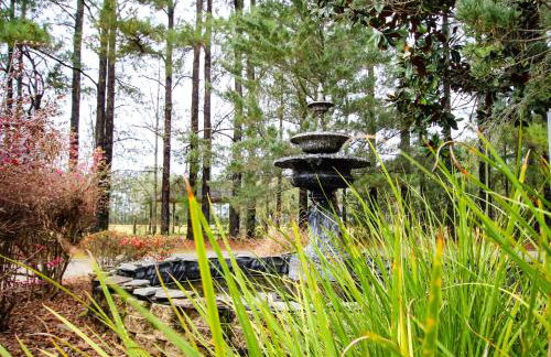 Tranquil 1 BR Studio in Grand Bay - Oak & Fountain - Foto 30