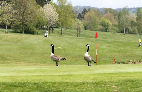 Vakantiewoning Ferienwohnung Paula Sauerland - Foto 22