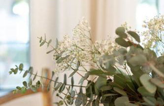 Wild Olive Lodge ° Serene grandma chíc getaway cabin - Foto 13