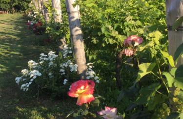 Agriturismo Terre Bianche - Foto 75