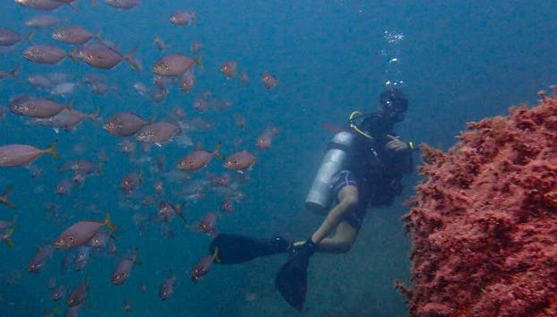 NAUI Open Water Diving Course in Ilhabela - Photo 3