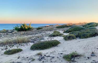 Le Margherite Holiday Home - Campomarino di Maruggio, zona Acquadolce Cirenaica - Foto 41