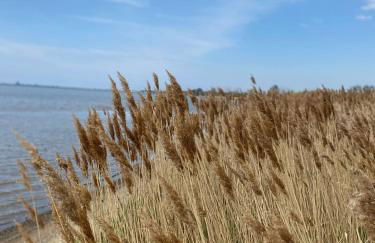 Urlaub "Unterm Storchennest" im Ostseeland Rerik - Foto 21