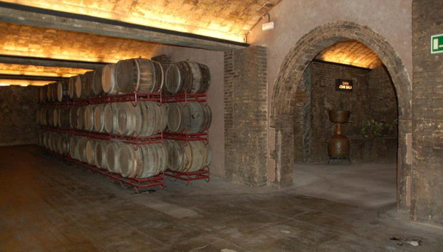 Ruta del Prosecco con cata de vinos - Excursión privada de día completo - Foto 5