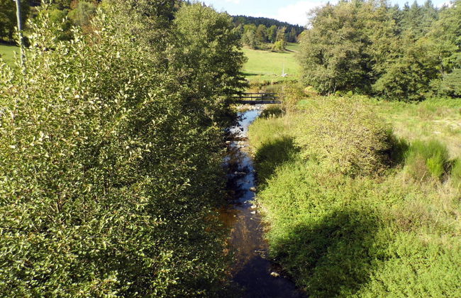 Le Haut d'Ancette - Foto 17