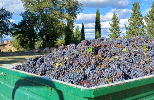 Agriturismo La Bulletta - Foto 78