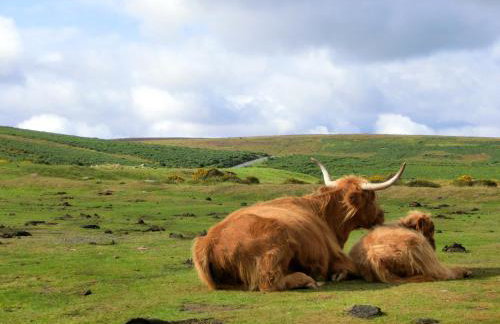 Scenery Cottage - Foto 7