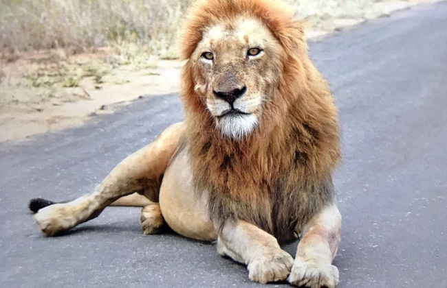 The Daniel'lo Mdaka Holiday Residence - Foto 38