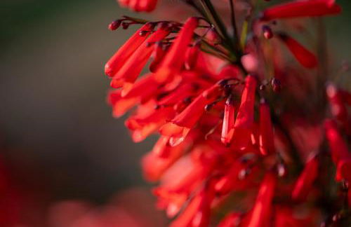 Coachella Play - 6BR Multi-Gen Fun Zone and Retreat with free heated pool - Foto 76