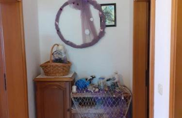 Sobe Stanković - Foto 12