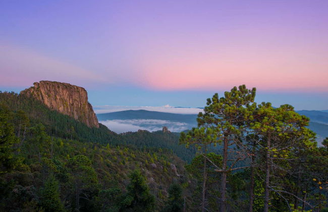 Peña del Rey Hiking Tour - Photo 4
