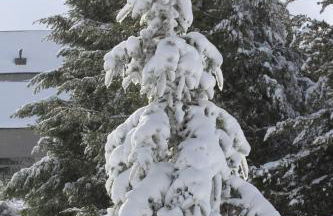 Cota 1500 - Chalé 51 - Penhas da Saúde - Foto 16
