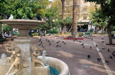 ARIS Urban Gazi - Foto 23